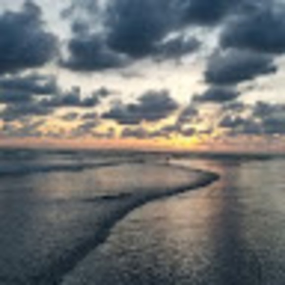 Meet your Posher, Lani - Picture 1 of 1